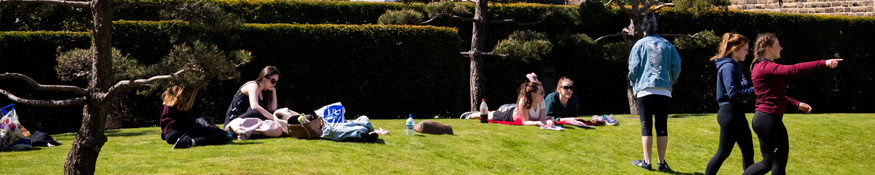 students relaxing in the gardens
